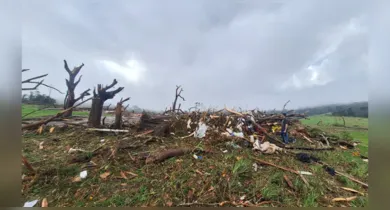 Imagem ilustrativa da notícia: Tornado no Paraná tem ventos de até 300 km por hora e alerta autoridades