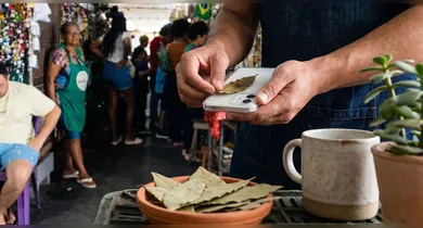 Imagem ilustrativa da notícia: Por que algumas pessoas colocam uma folha de louro na capa do celular?