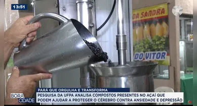 Imagem ilustrativa da notícia: Pesquisa da UFPA revela potencial do açaí para a saúde do cérebro