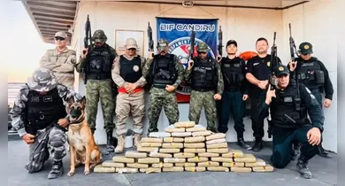 Imagem ilustrativa da notícia: Cão farejador encontra drogas escondidas em embarcação no Pará