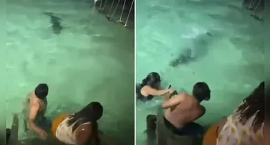 Imagem ilustrativa da notícia: VÍDEO: turistas são surpreendidos por crocodilo durante banho em resort