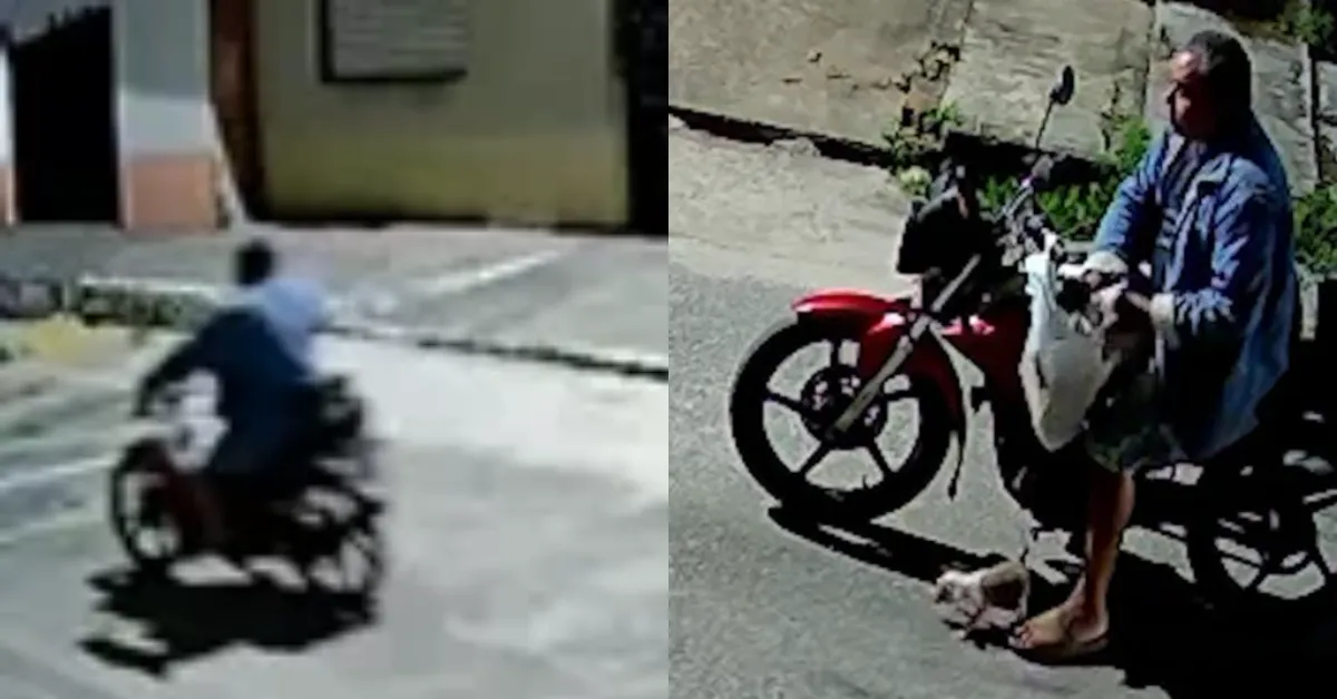 Imagem ilustrativa da notícia: Câmera registra abandono de filhotes de cachorro no Tenoné, em Belém
