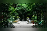 Bosque Rodrigues Alves completa 143 anos em Belém.
