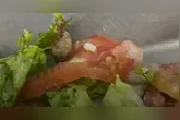O caramujo foi encontrado pelos alunos na hora do almoço