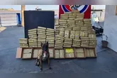 Foram quase 200 quilos de drogas, que foram apreendidas com ajuda da cadela Ísis