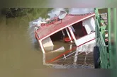 A embarcação afundou no último dia 3 de setembro, quando os animais transportados morreram