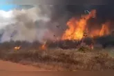 O incêndio começou pela vegetação da área e quase alcançou residências