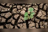 Governo federal criou gabinete extraordinário para coordenar ações de proteção social diante dos possíveis impactos do El Niño 2026-2027.
