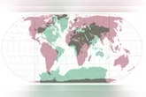 Imagem ilustrativa da notícia ONU aprova resolução para novo mapa-múndi; entenda o que muda