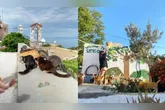 Programa de voluntariado na ilha grega de Syros oferece hospedagem e alimentação para participantes que ajudam nos cuidados com gatos.