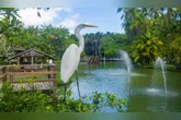 A programação especial une educação ambiental e contato com a fauna de forma lúdica.