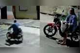 Animais ficaram expostos ao movimento da via e ao risco de serem atropelados.