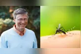 No texto, o veículo descreve como Belém enfrentou o surto com vigilância epidemiológica, atuação de agentes de saúde, novas tecnologias e participação dos moradores.