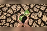 Fortalecimento da produção científica é o objetivo do prêmio