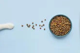 O alimento precisa ser completo e balanceado para a espécie e para a fase de vida do pet.