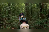 Descubra a Trilha Amazônia Atlântica, uma rota de ecoturismo que liga Belém a Viseu, unindo natureza e cultura ao longo de 468 km no Pará.