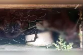 O feto foi encontrado pelo servidor dentro de uma fossa da unidade de saúde em obras