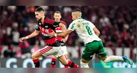 A briga pelo título brasileiro esquentou! Palmeiras e Flamengo estão a apenas 3 pontos