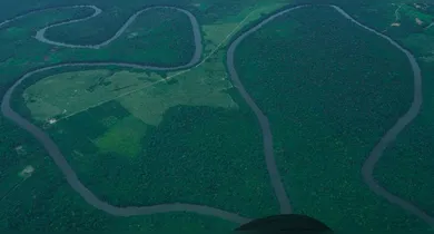 Imagem ilustrativa da notícia: Pará atinge menor índice de desmatamento desde 1988