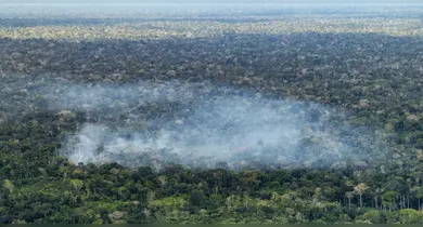 Imagem ilustrativa da notícia: Estudo relaciona emissões de carbono na Amazônia à ação humana