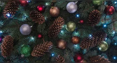 Imagem ilustrativa da notícia: Árvore de Natal antiga pode virar guirlanda com pouco gasto