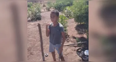Imagem ilustrativa da notícia: Mãe é presa após filho de 8 anos morrer atingido por faca