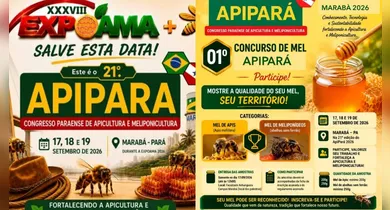 Imagem ilustrativa da notícia: Marabá sediará congresso de apicultura durante a Expoama