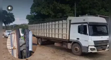 Imagem ilustrativa da notícia: Polícia intercepta carga com 32 cabeças de gado em Xinguara
