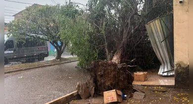 Imagem ilustrativa da notícia: Vídeo: Temporal causa quedas e danos em vários pontos de Marabá