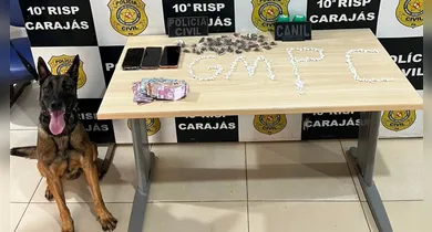 Imagem ilustrativa da notícia: Cão de faro da GMM ajuda a apreender drogas na Velha Marabá