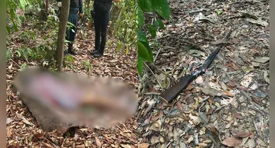 Imagem ilustrativa da notícia: Idosa de 79 anos morre após disparo acidental na zona rural de Itupiranga