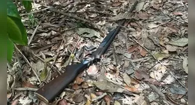 Imagem ilustrativa da notícia: Idosa é morta por disparo pelo marido durante caçada no Pará
