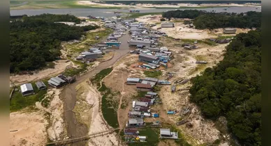 Imagem ilustrativa da notícia: El Niño causou seca em 38% de áreas habitadas na Amazônia