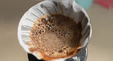 Imagem ilustrativa da notícia: Vai jogar a borra de café fora? Transforme o resíduo em produtos