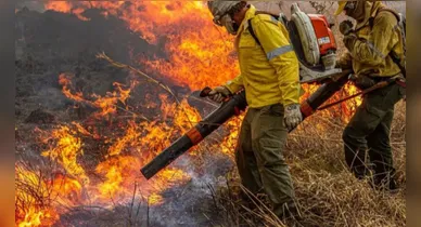 Imagem ilustrativa da notícia: Incêndios florestais: municípios proíbem queimadas para limpeza e decretam emergência