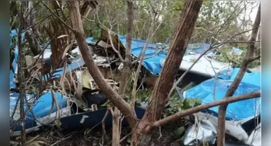 Imagem ilustrativa da notícia: Avião com destino ao Pará cai no Tocantins e deixa dois mortos