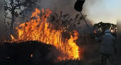 Imagem ilustrativa da notícia: Muaná decreta emergência por avanço de incêndios e seca no Marajó