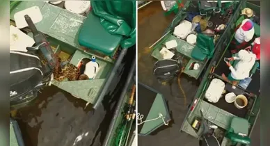 Imagem ilustrativa da notícia: Sucuri entra em barco e assusta turista no Pantanal; veja o vídeo