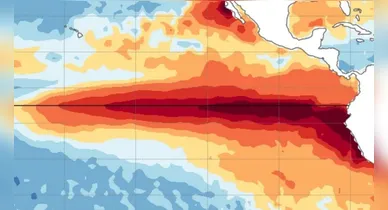 Imagem ilustrativa da notícia: Efeitos do El Niño devem se intensificar nos próximos meses