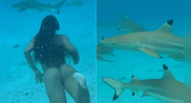 Imagem ilustrativa da notícia: Esposa de Gabriel Medina mergulha com tubarões em ilha vulcânica