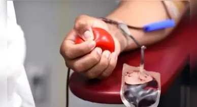 Imagem ilustrativa da notícia: Pará amplia regras para doação de sangue; saiba o que mudou
