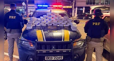 Imagem ilustrativa da notícia: PRF apreende 53 quilos de skunk em Altamira