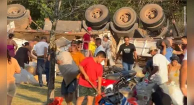 Imagem ilustrativa da notícia: Carreta tomba na PA-252 e carga de milho é saqueada