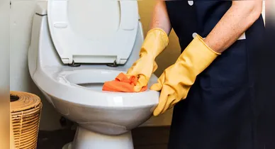 Imagem ilustrativa da notícia: Quantas vezes por semana você deve limpar o vaso sanitário?