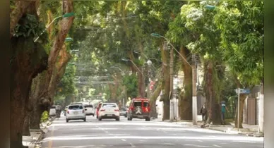 Imagem ilustrativa da notícia: Prefeito manda retirar asfalto da Av. Nazaré sem custo