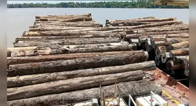 Imagem ilustrativa da notícia: Pará apreende 700 m³ de madeira ilegal em rio no nordeste do Pará