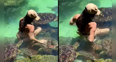 Imagem ilustrativa da notícia: VÍDEO: Tartaruga morde bumbum de modelo durante ensaio fotográfico