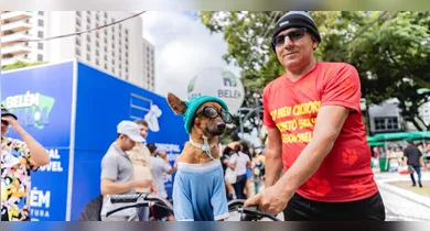 Imagem ilustrativa da notícia: Calor intenso exige cuidados redobrados com pets. Veja como protegê-los!