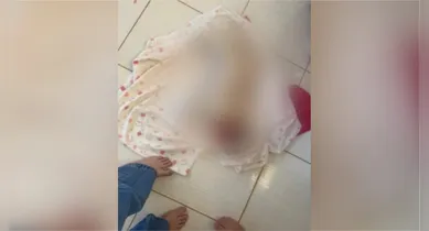 Imagem ilustrativa da notícia: Cão morre após ser esquecido em van de pet shop no Pará