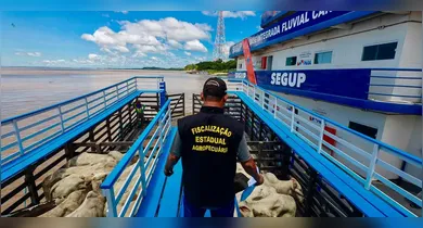 Imagem ilustrativa da notícia: Operações nos rios do Pará apreendem 7,8 toneladas de drogas